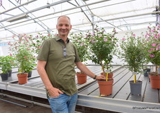 Bart Oostveen met Anisodontea Marshmallow, een nieuwe variëteit van terrasplanten. Het heeft grote bloemen, grotere bladeren en een fellere kleur.